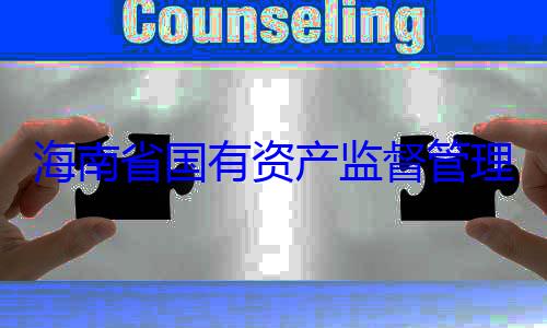 委副书记王理委员会党有福接受审海南省国有资产监督管查调查
